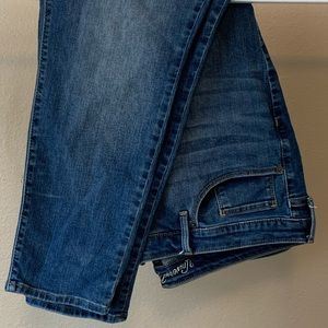 Plus Size Universal Thread Skinny Jeans